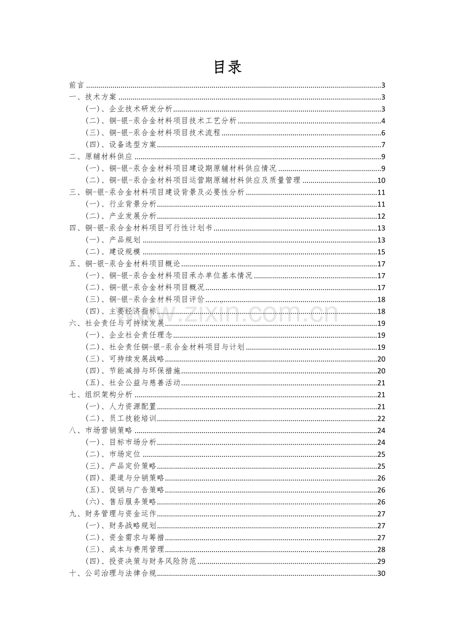 2025年度铜-银-汞合金材料项目建议书.docx_第2页