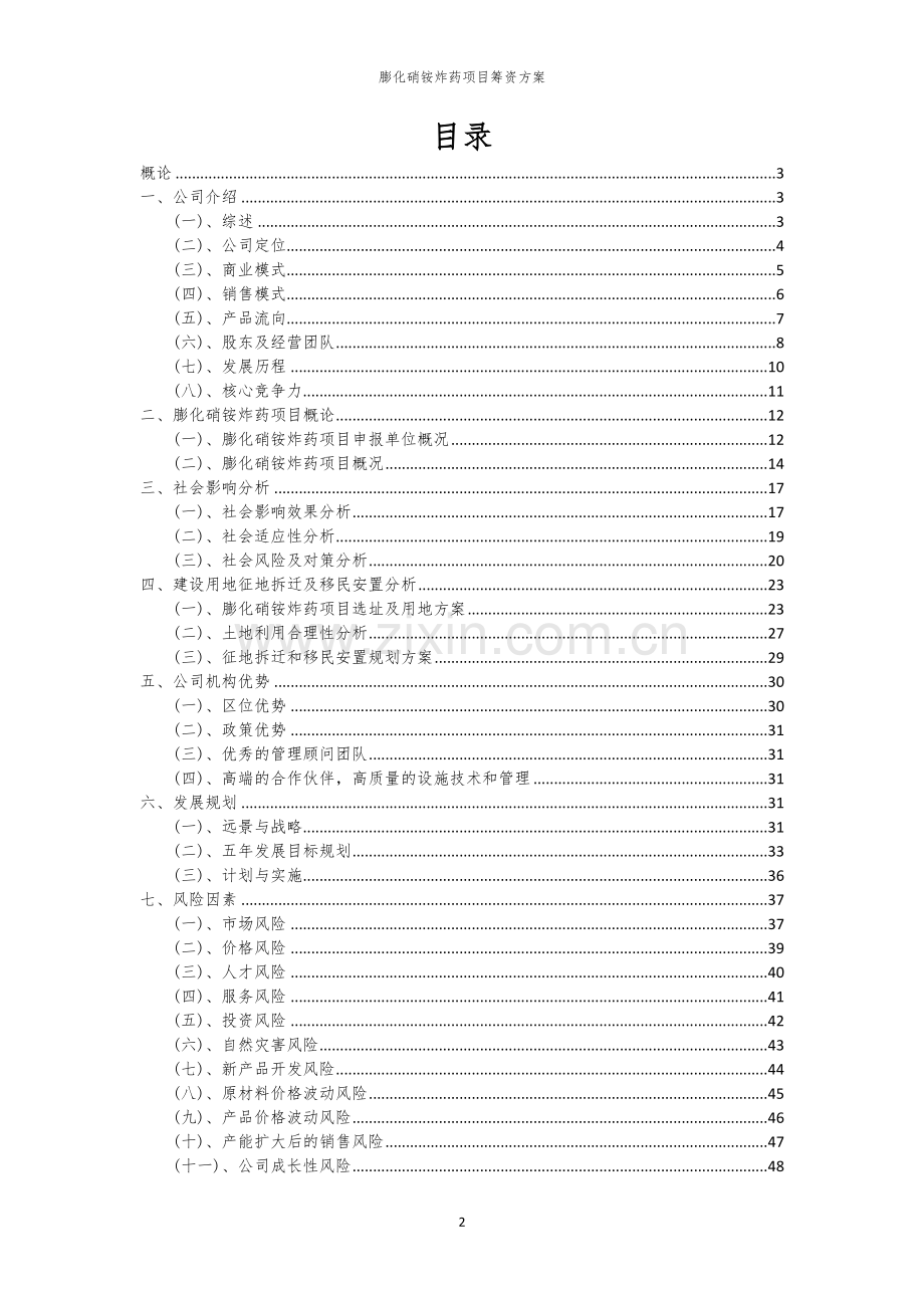 膨化硝铵炸药项目筹资方案.docx_第2页