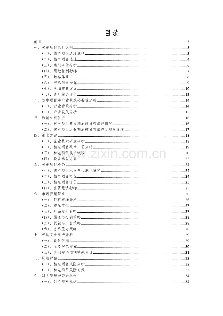 2025年度核电项目建议书.docx_第2页