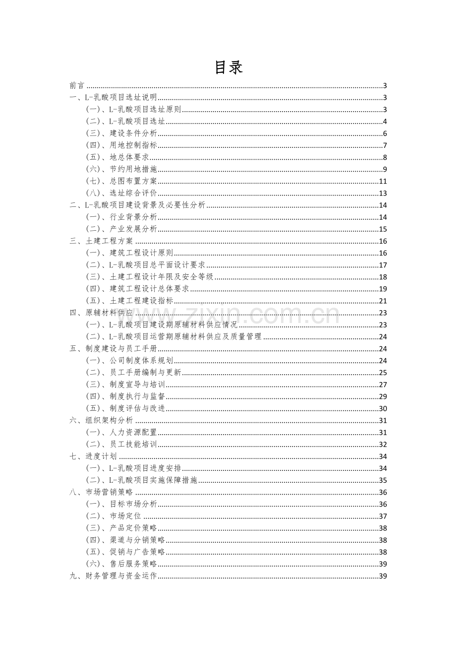 2024年L-乳酸项目投资分析及可行性报告.docx_第2页