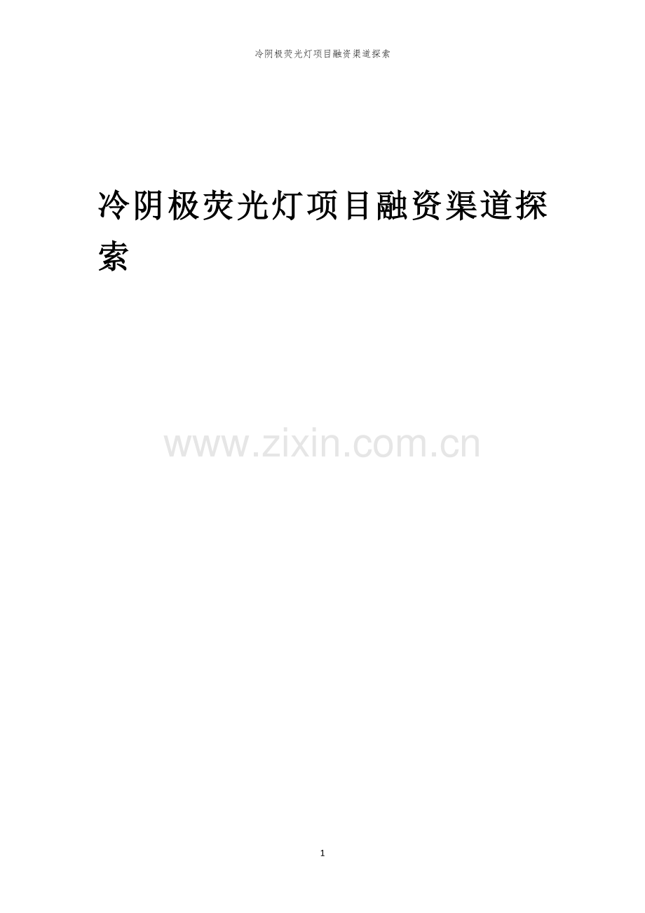 冷阴极荧光灯项目融资渠道探索.docx_第1页
