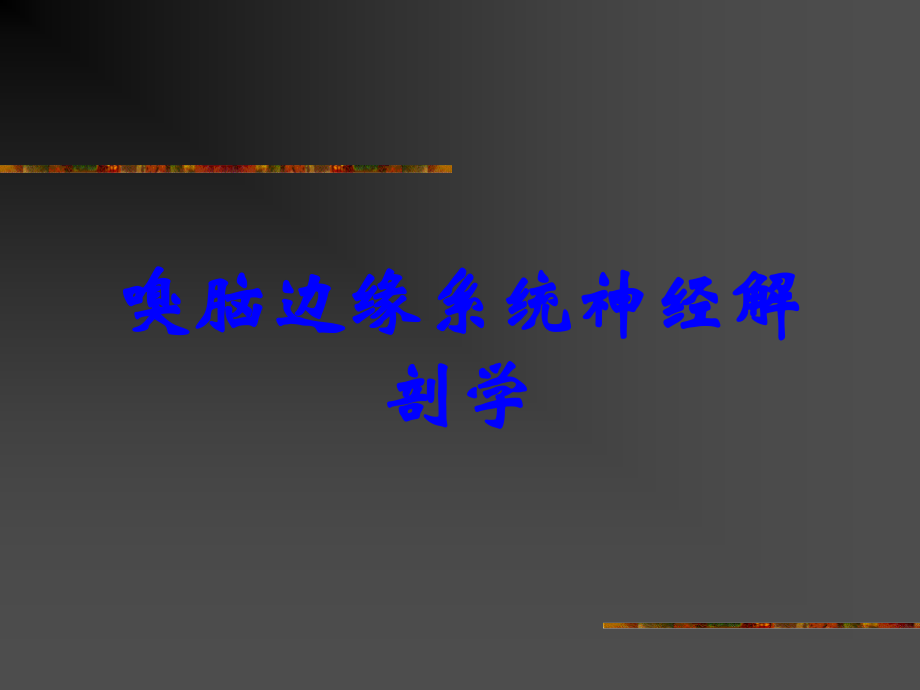 嗅脑边缘系统神经解剖学.ppt_第1页