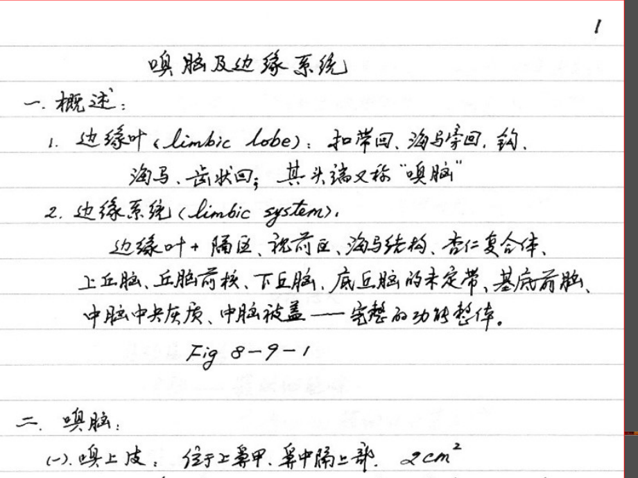 嗅脑边缘系统神经解剖学.ppt_第2页