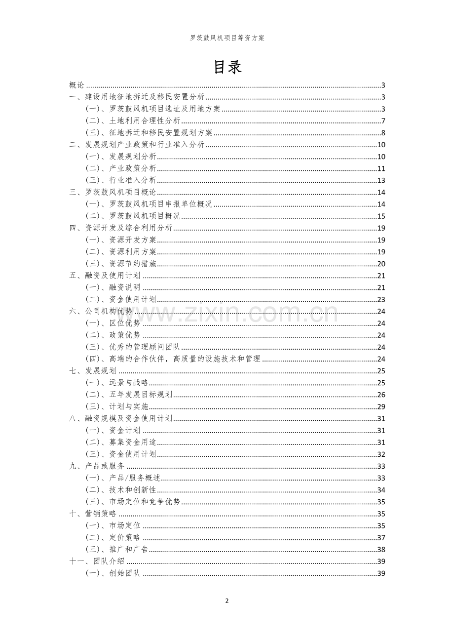 罗茨鼓风机项目筹资方案.docx_第2页