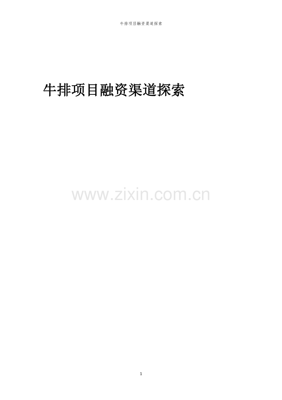 牛排项目融资渠道探索.docx_第1页