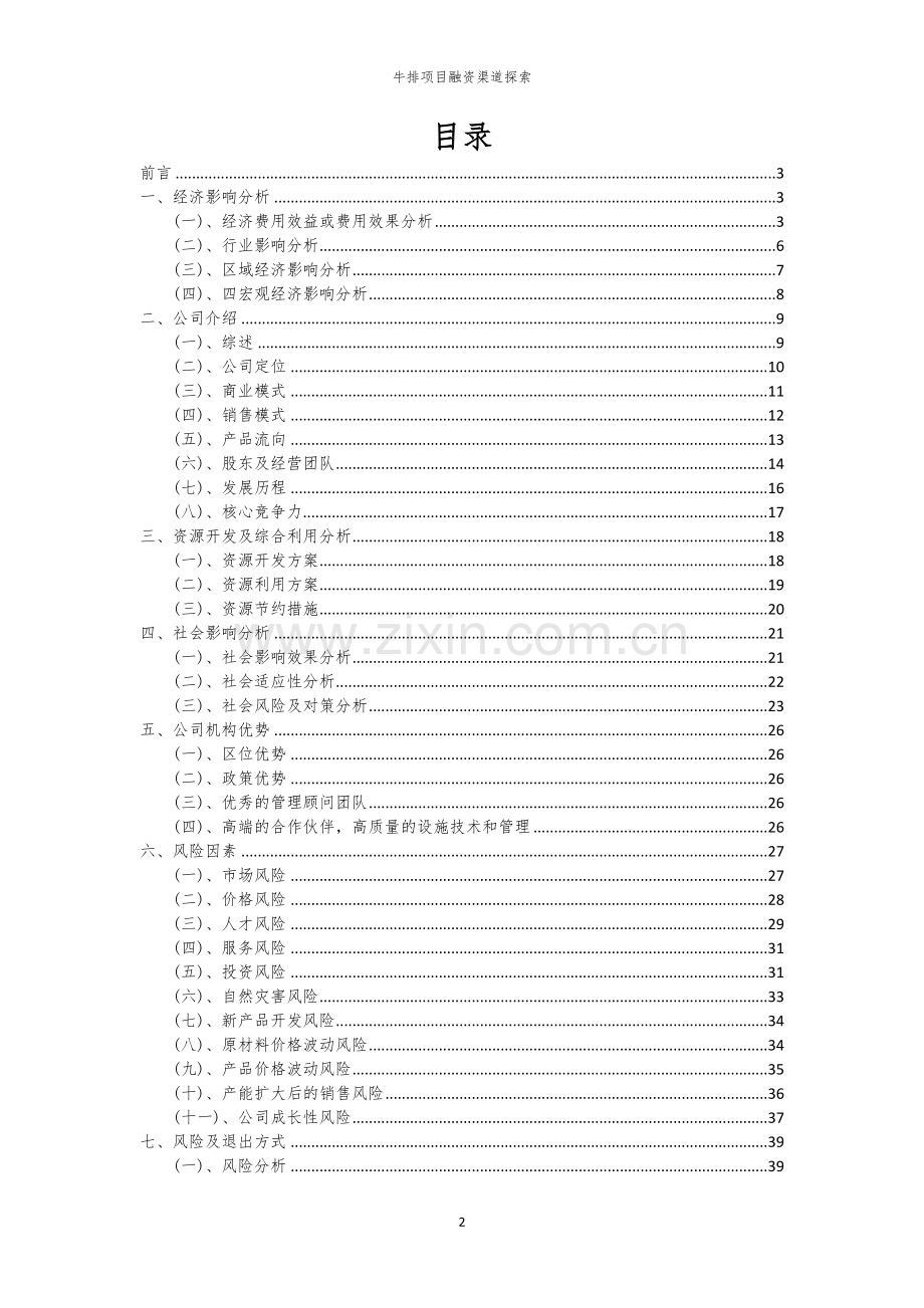 牛排项目融资渠道探索.docx_第2页
