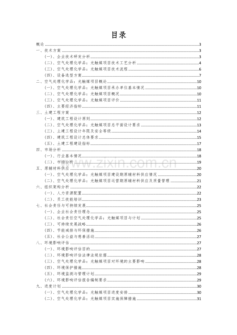 2024年空气处理化学品：光触媒项目投资分析及可行性报告.docx_第2页