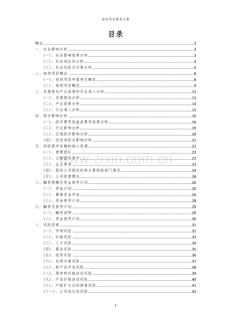 硅钡项目筹资方案.docx_第2页