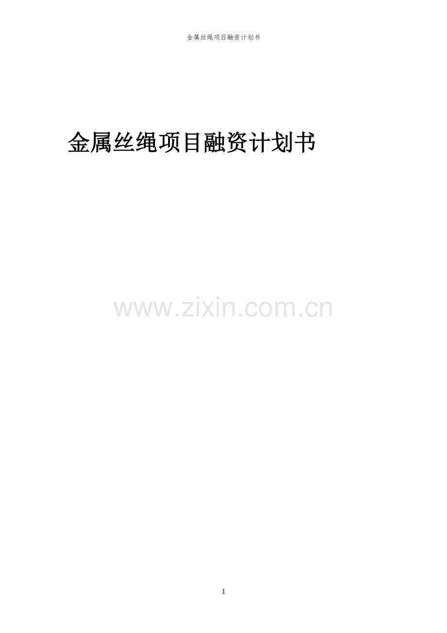 金属丝绳项目融资计划书.docx_第1页