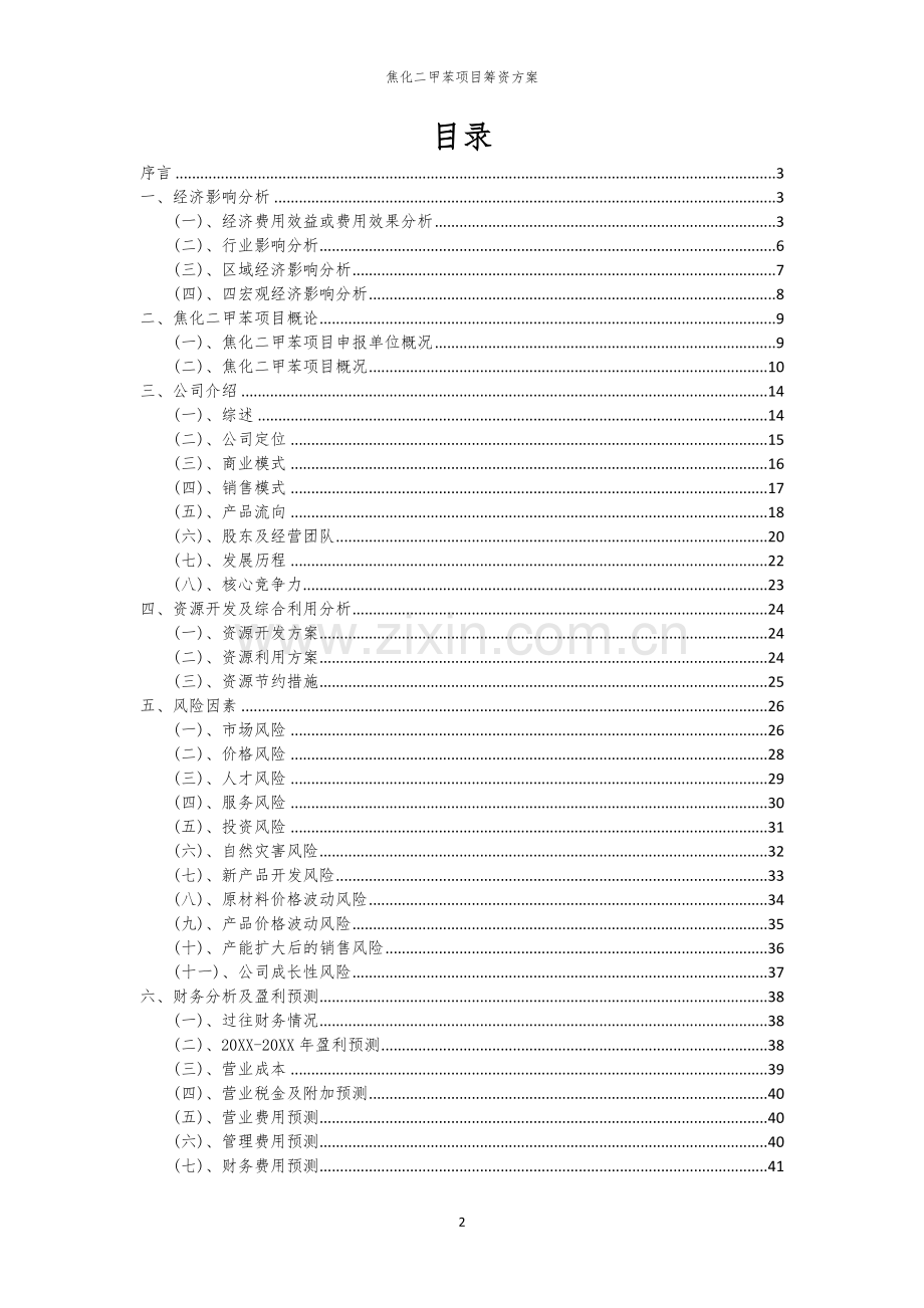 焦化二甲苯项目筹资方案.docx_第2页