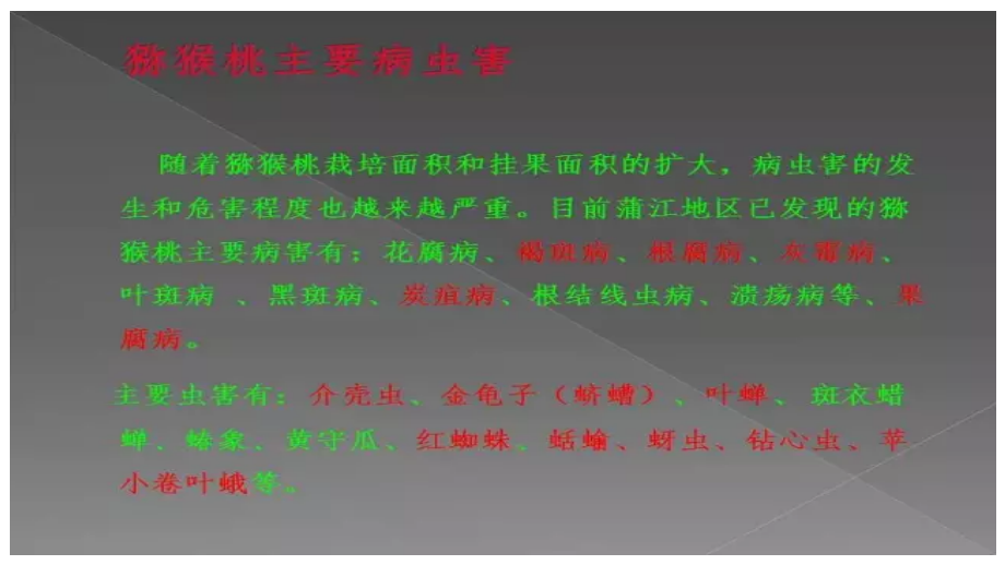 猕猴桃病虫害防治.pptx_第2页