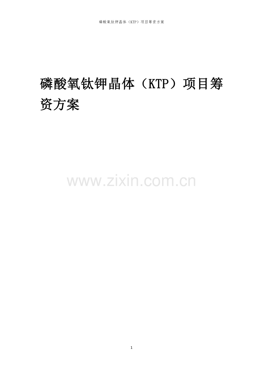 磷酸氧钛钾晶体（KTP）项目筹资方案.docx_第1页