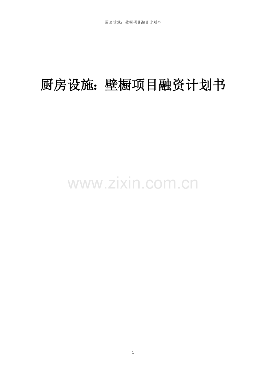 厨房设施：壁橱项目融资计划书.docx_第1页