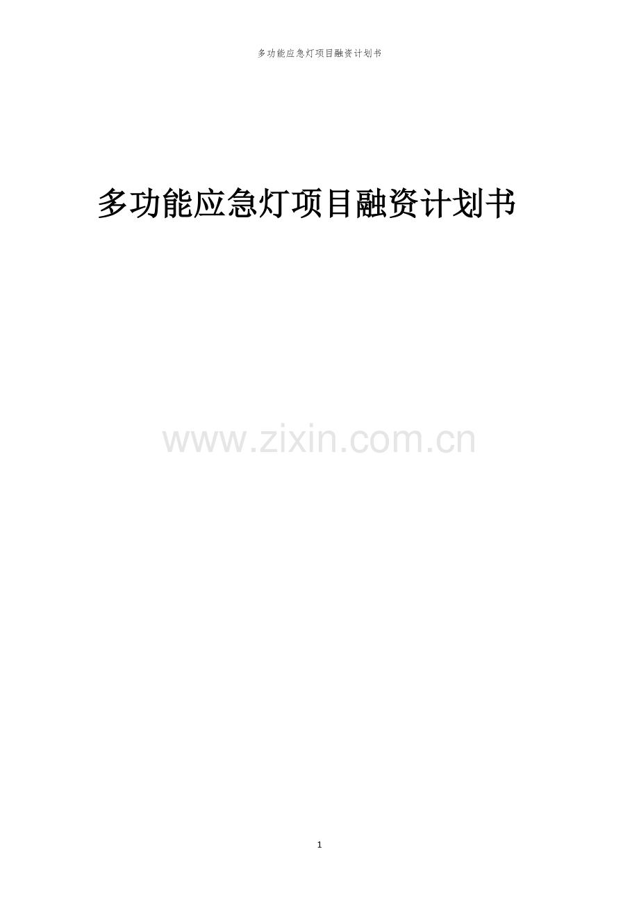 多功能应急灯项目融资计划书.docx_第1页