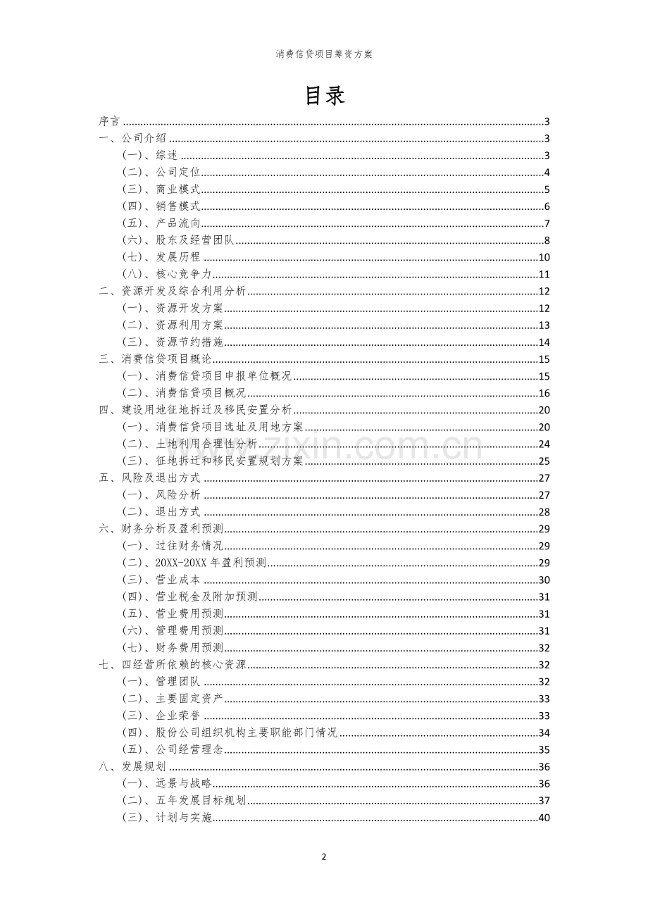 消费信贷项目筹资方案.docx_第2页