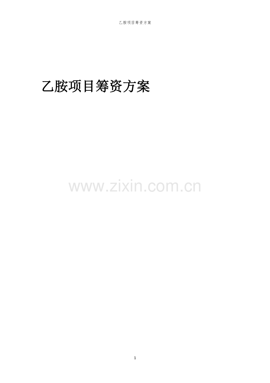 乙胺项目筹资方案.docx_第1页
