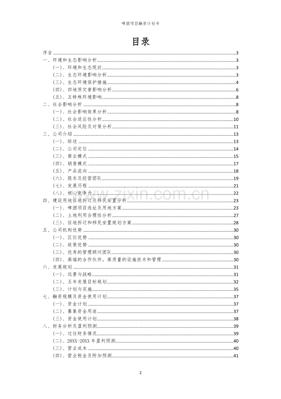 啤酒项目融资计划书.docx_第2页