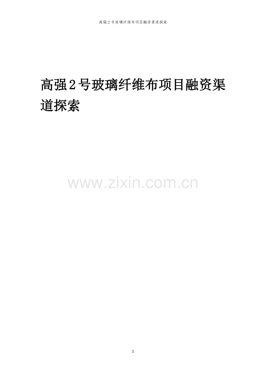 高强2号玻璃纤维布项目融资渠道探索.docx_第1页