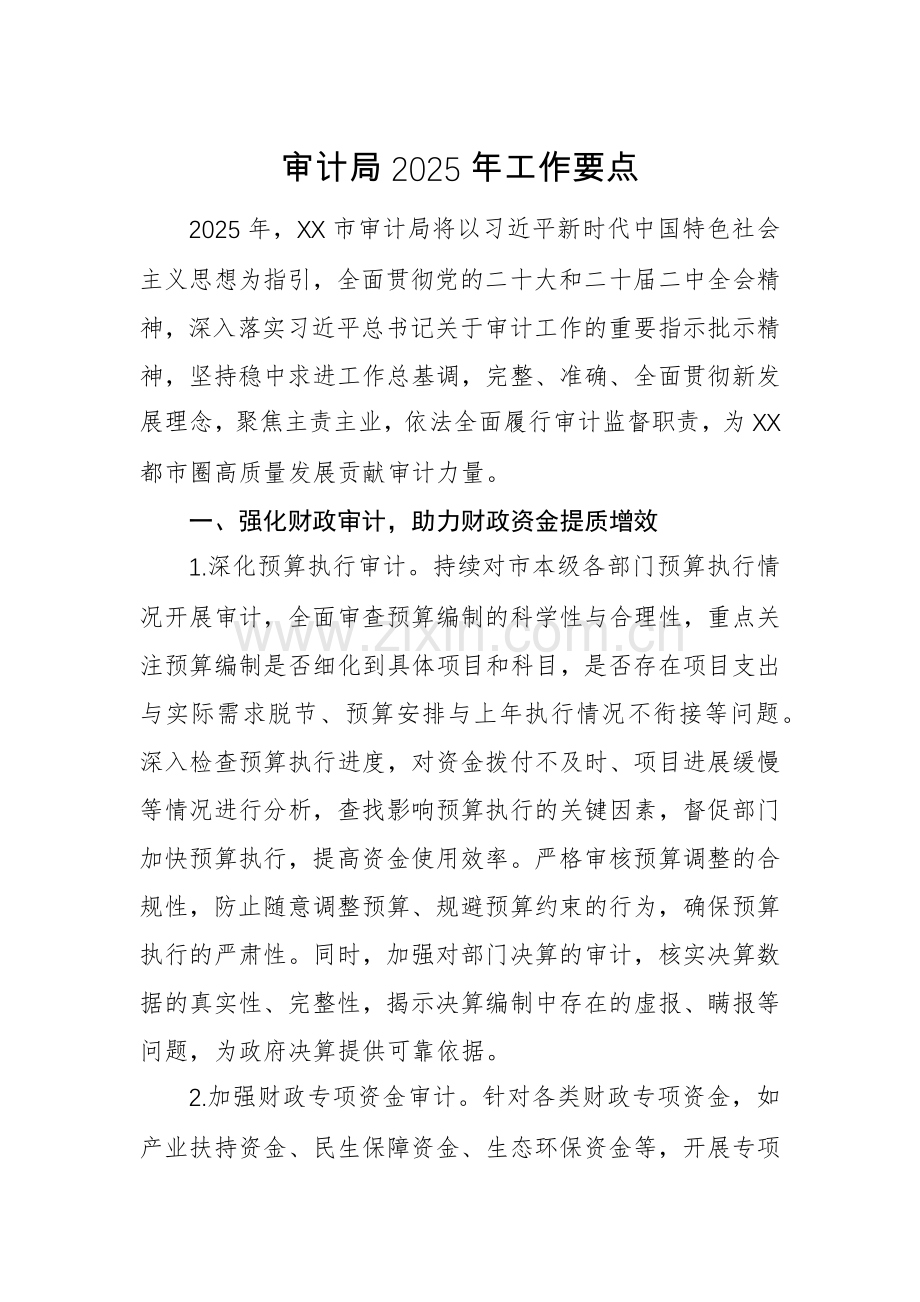 审计机关2025年工作要点范文.docx_第1页