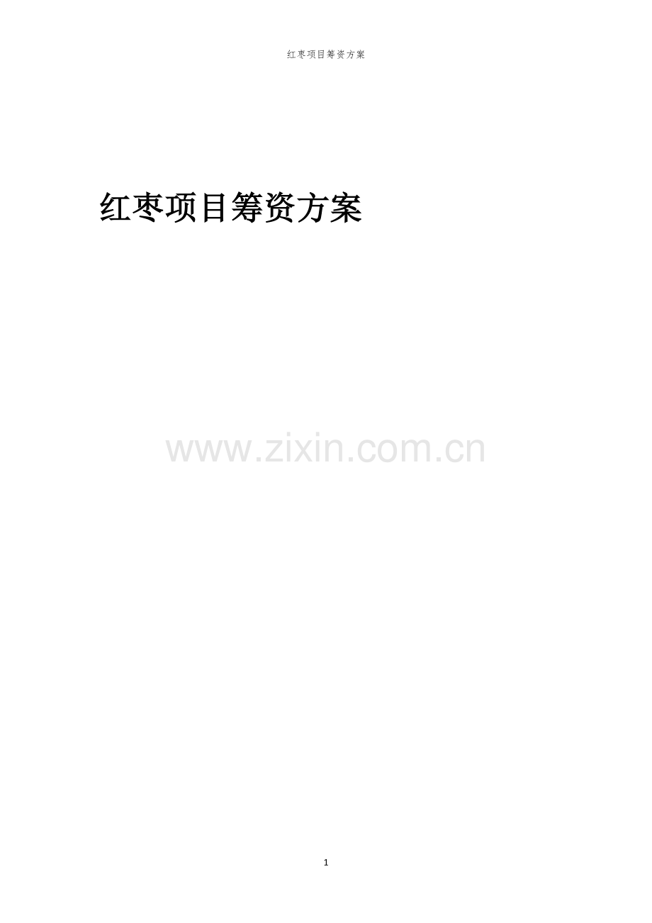红枣项目筹资方案.docx_第1页