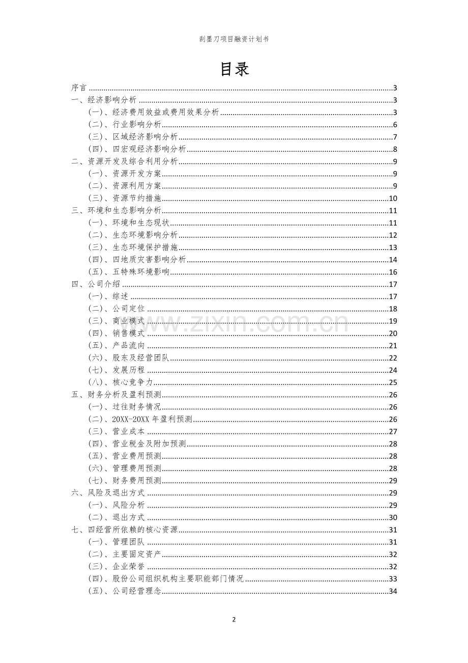 刮墨刀项目融资计划书.docx_第2页