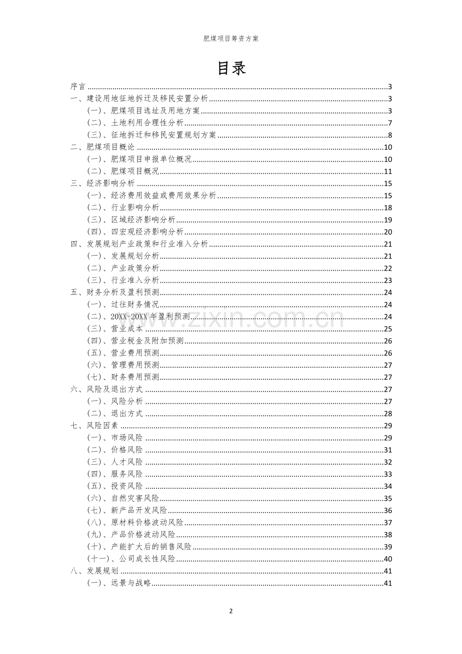 肥煤项目筹资方案.docx_第2页