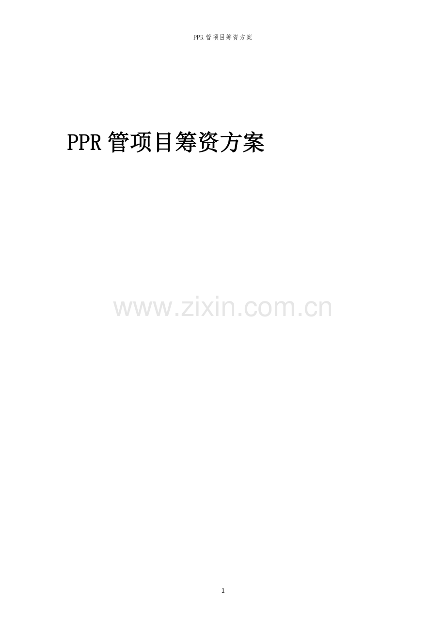 PPR管项目筹资方案.docx_第1页