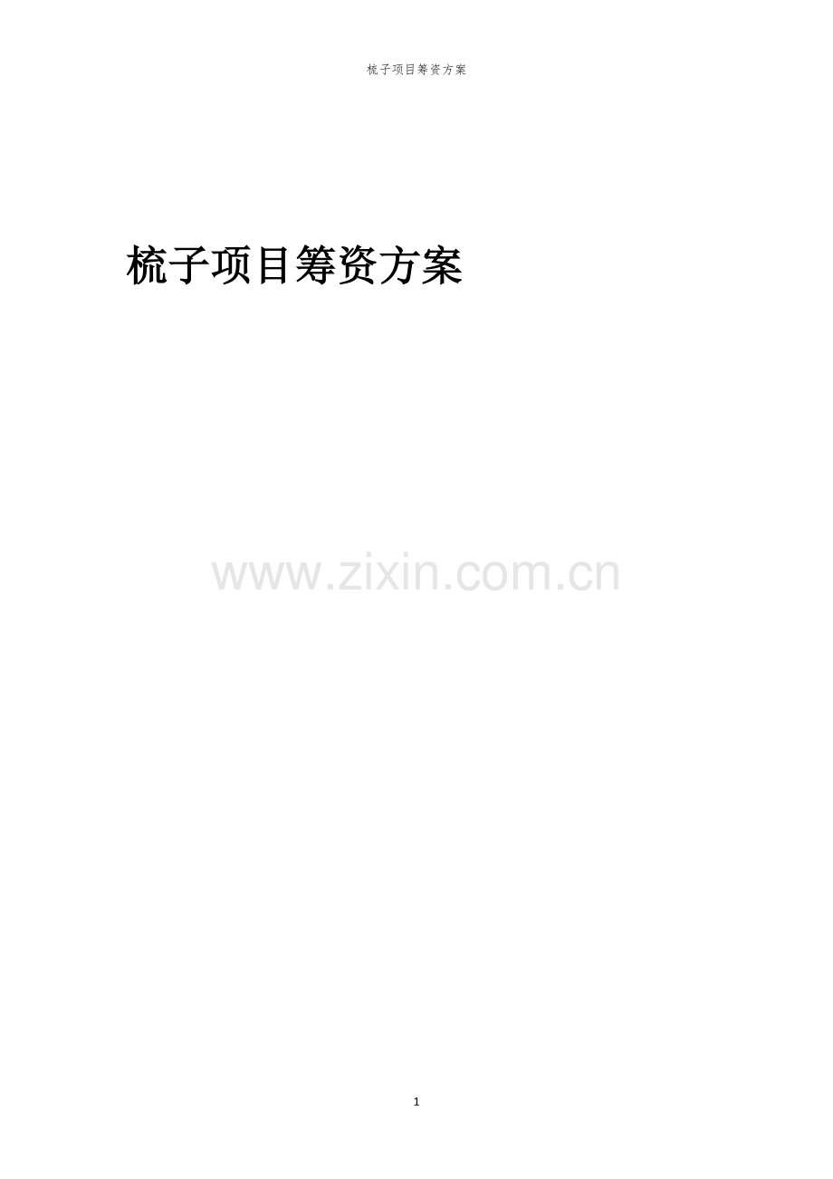梳子项目筹资方案.docx_第1页