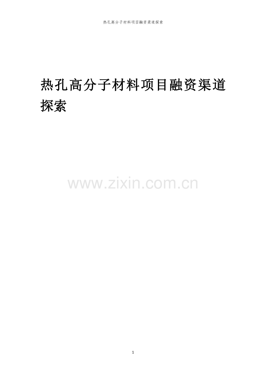 热孔高分子材料项目融资渠道探索.docx_第1页