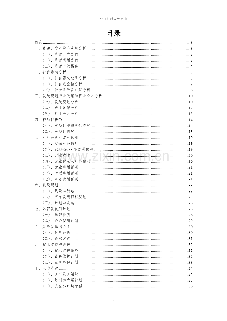 籽项目融资计划书.docx_第2页