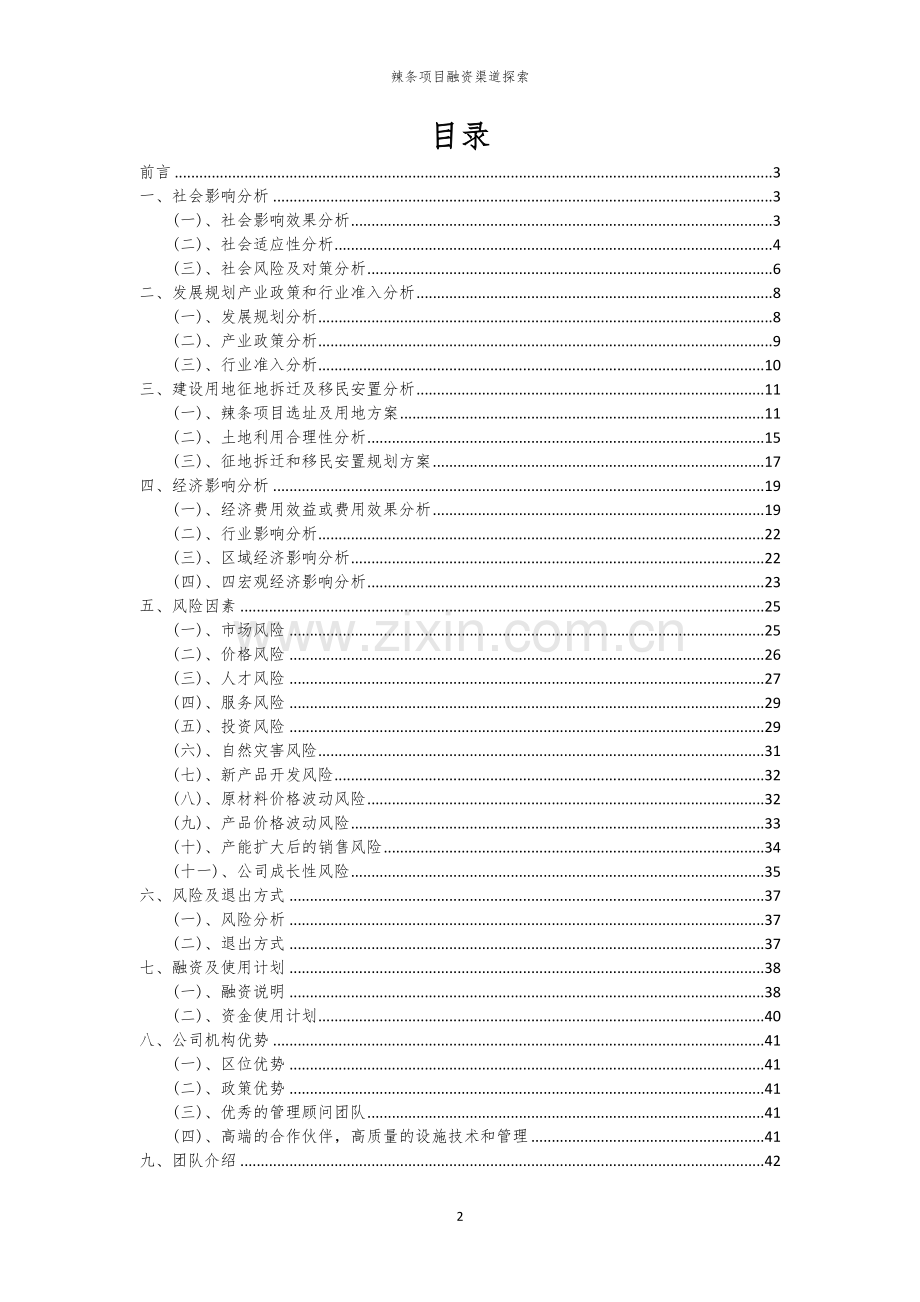 辣条项目融资渠道探索.docx_第2页