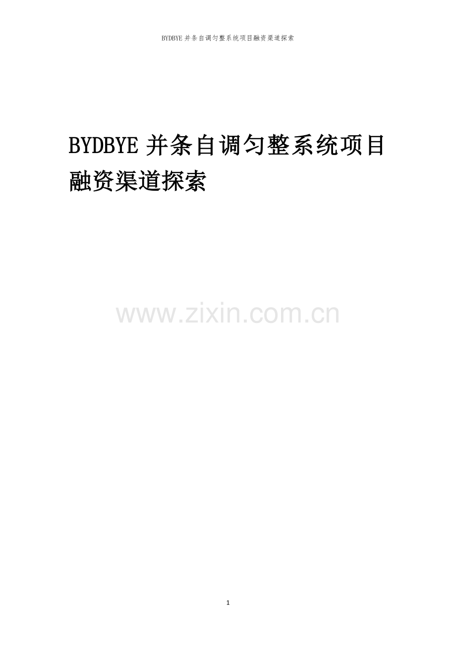 BYDBYE并条自调匀整系统项目融资渠道探索.docx_第1页