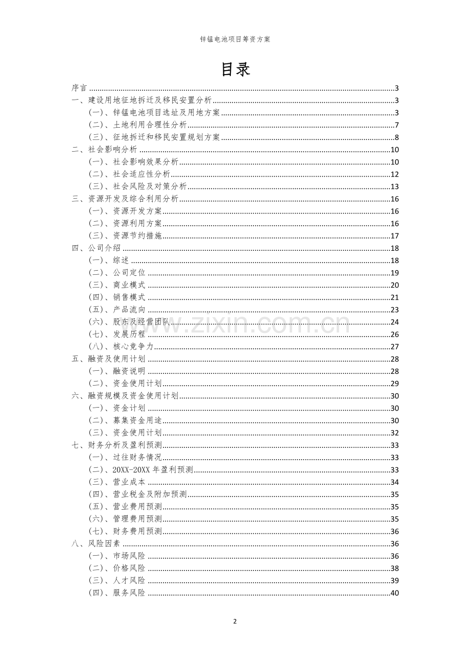 锌锰电池项目筹资方案.docx_第2页