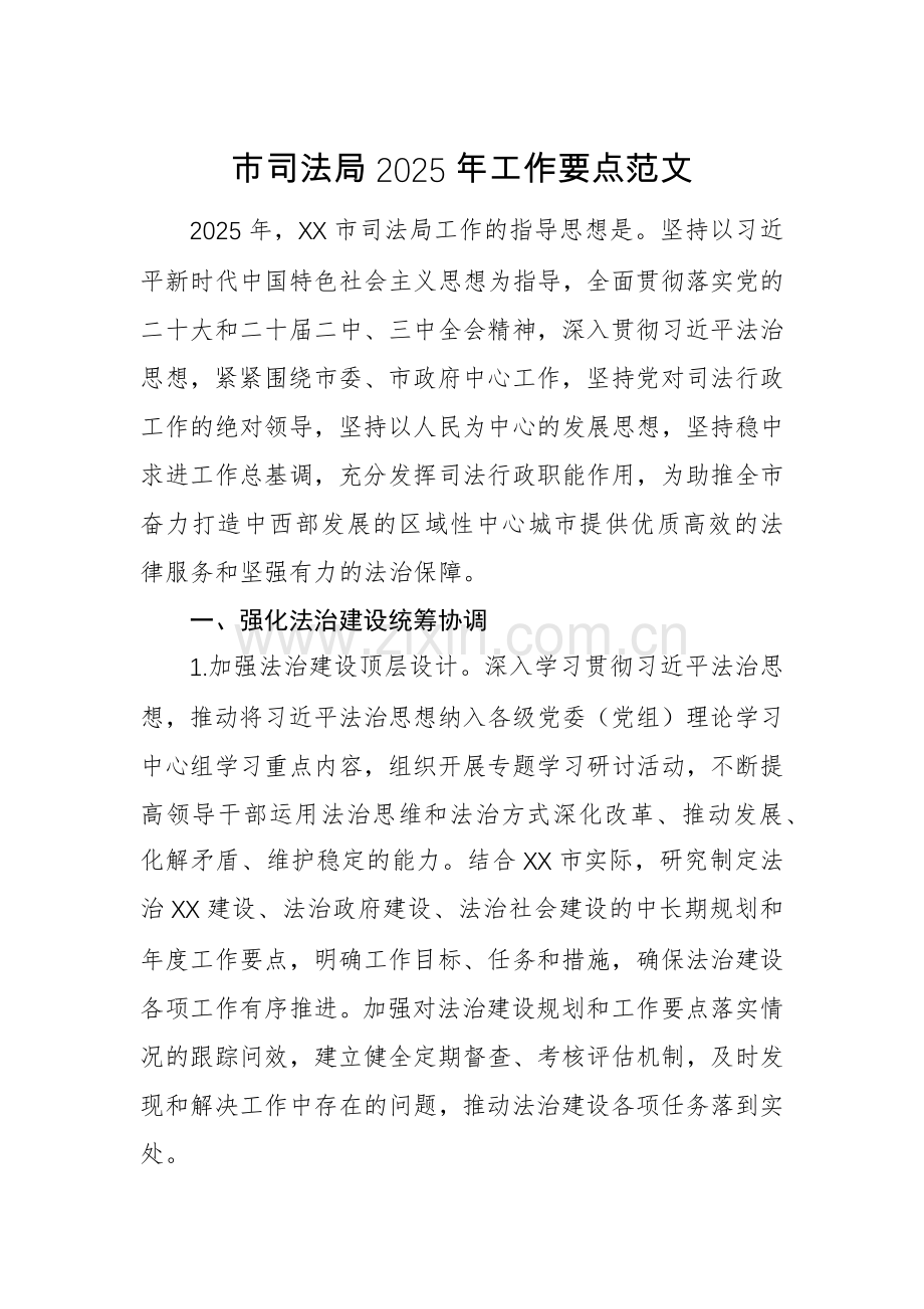 市司法局2025年工作要点范文.docx_第1页
