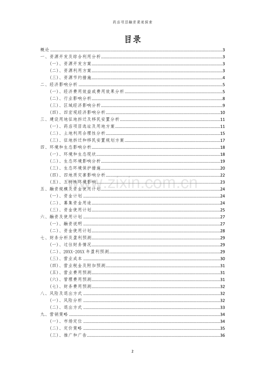 药店项目融资渠道探索.docx_第2页