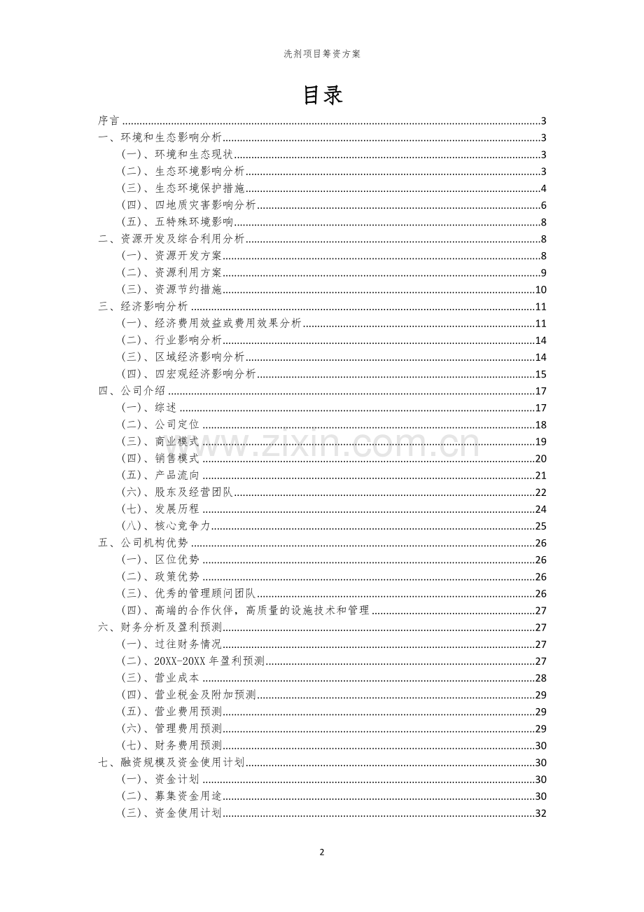 洗剂项目筹资方案.docx_第2页