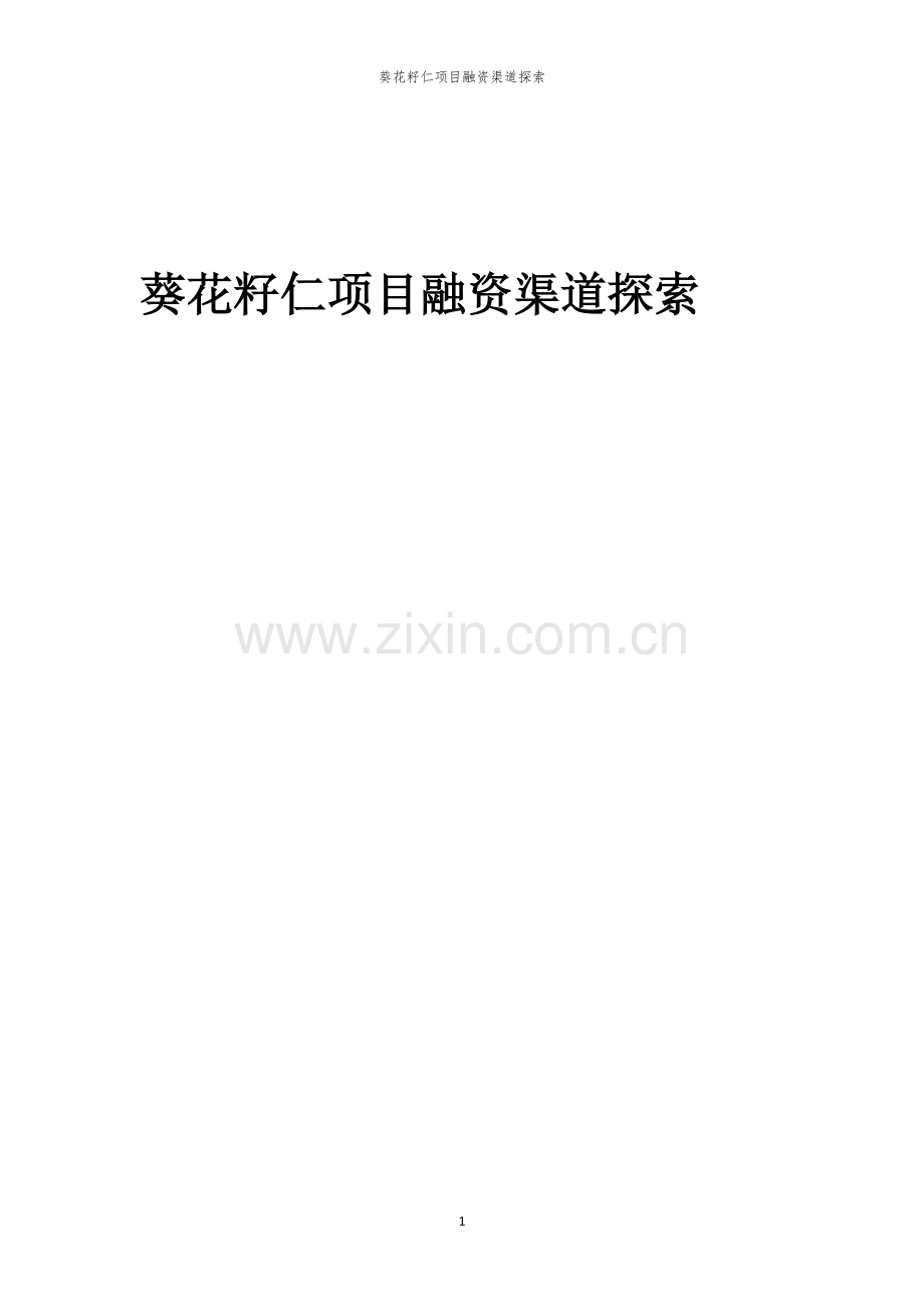 葵花籽仁项目融资渠道探索.docx_第1页