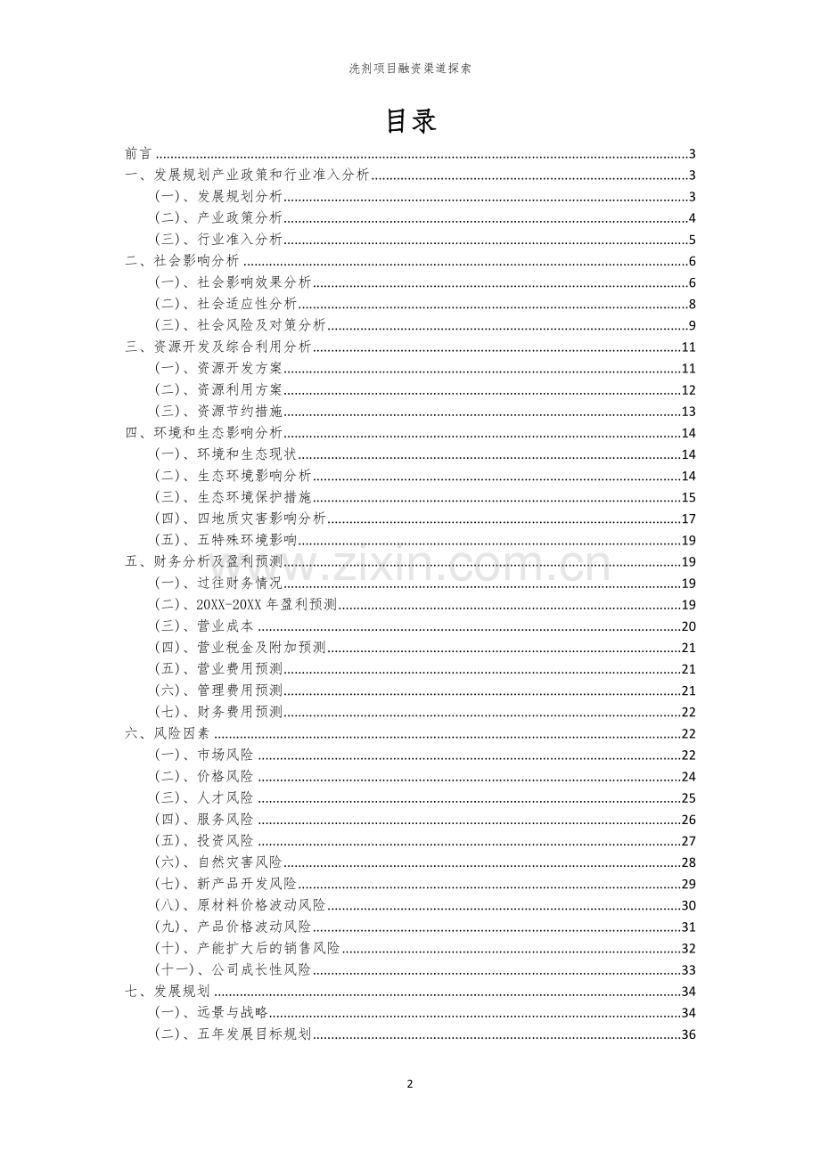 洗剂项目融资渠道探索.docx_第2页