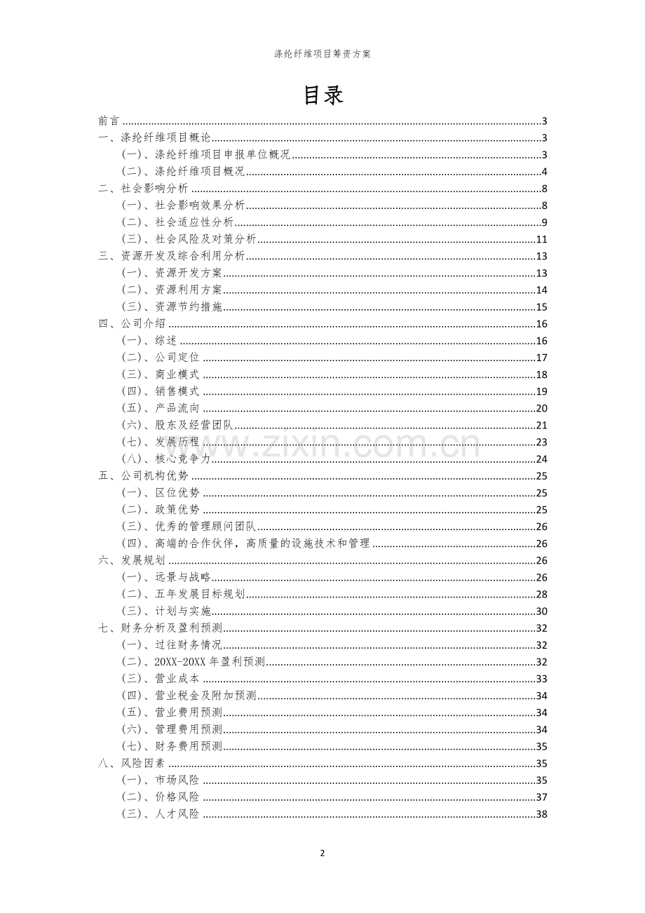 涤纶纤维项目筹资方案.docx_第2页