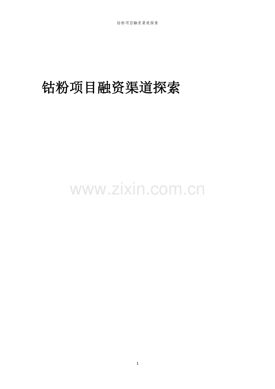 钴粉项目融资渠道探索.docx_第1页