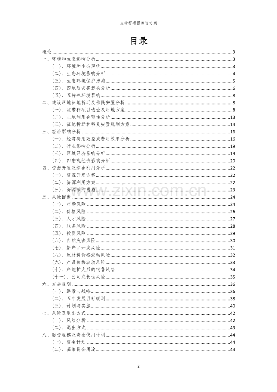 皮带秤项目筹资方案.docx_第2页