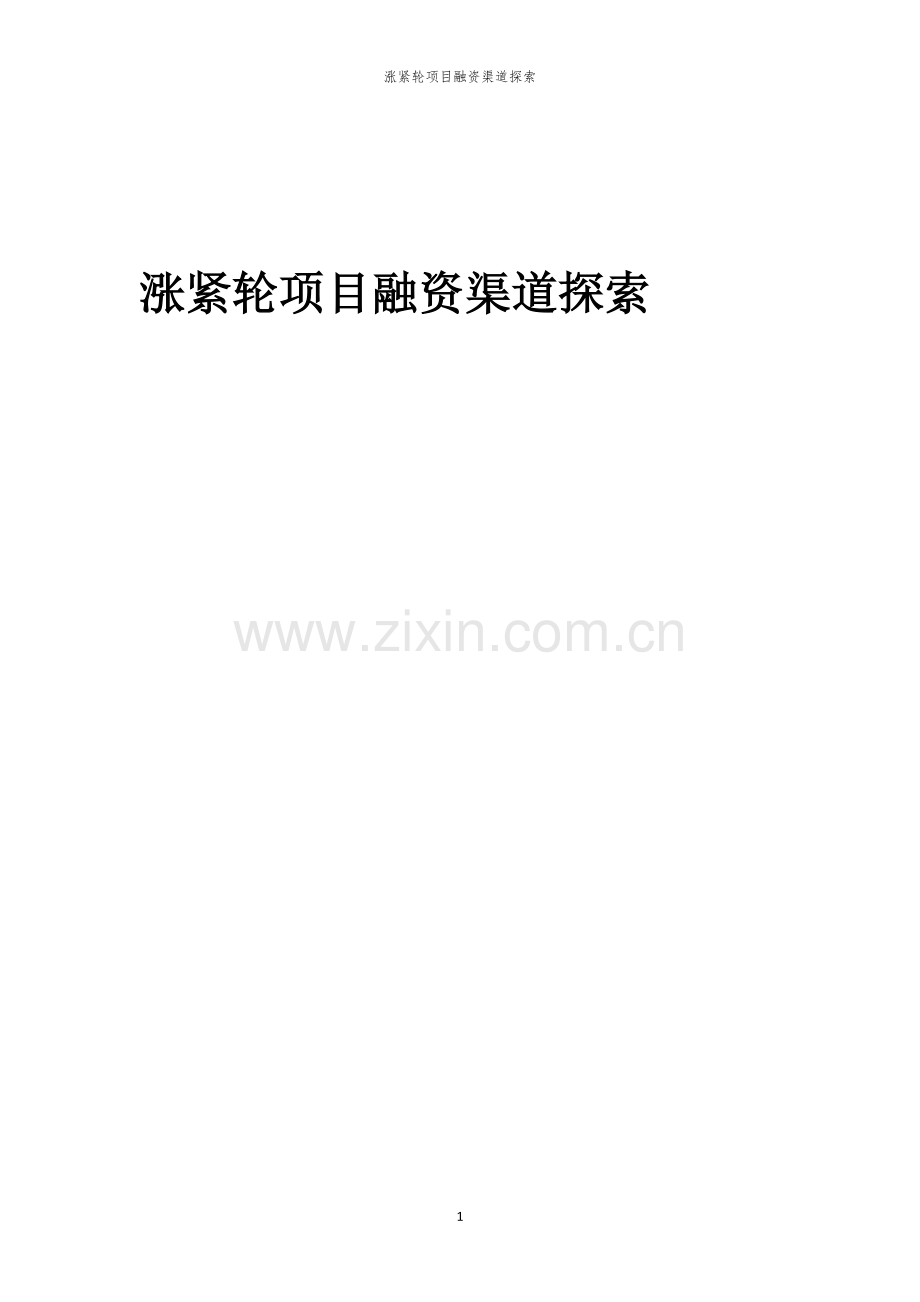 涨紧轮项目融资渠道探索.docx_第1页