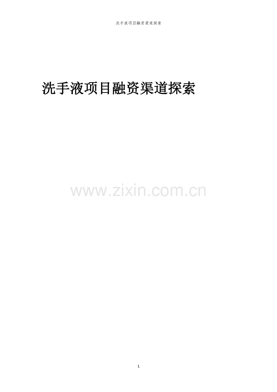 洗手液项目融资渠道探索.docx_第1页