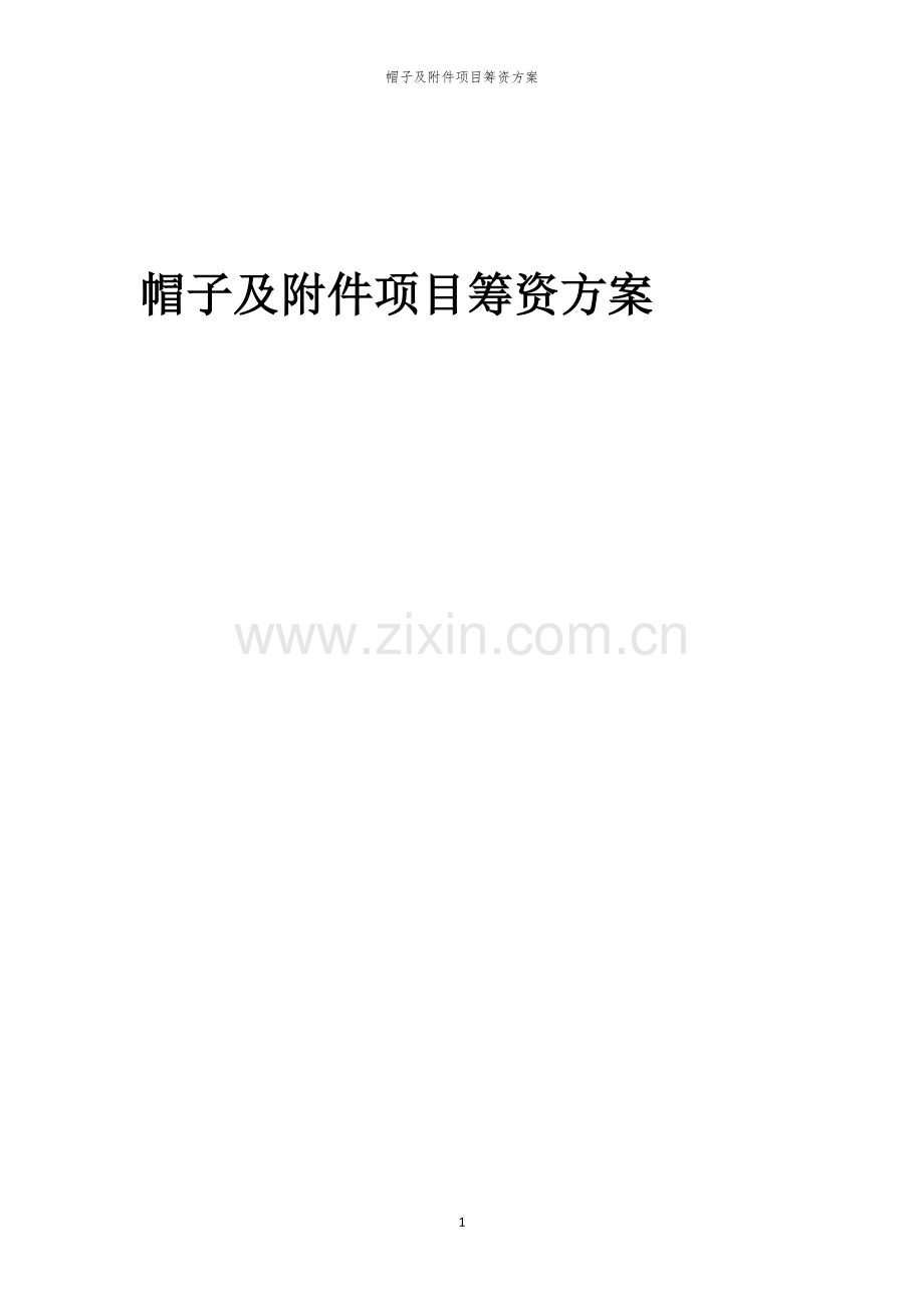 帽子及附件项目筹资方案.docx_第1页
