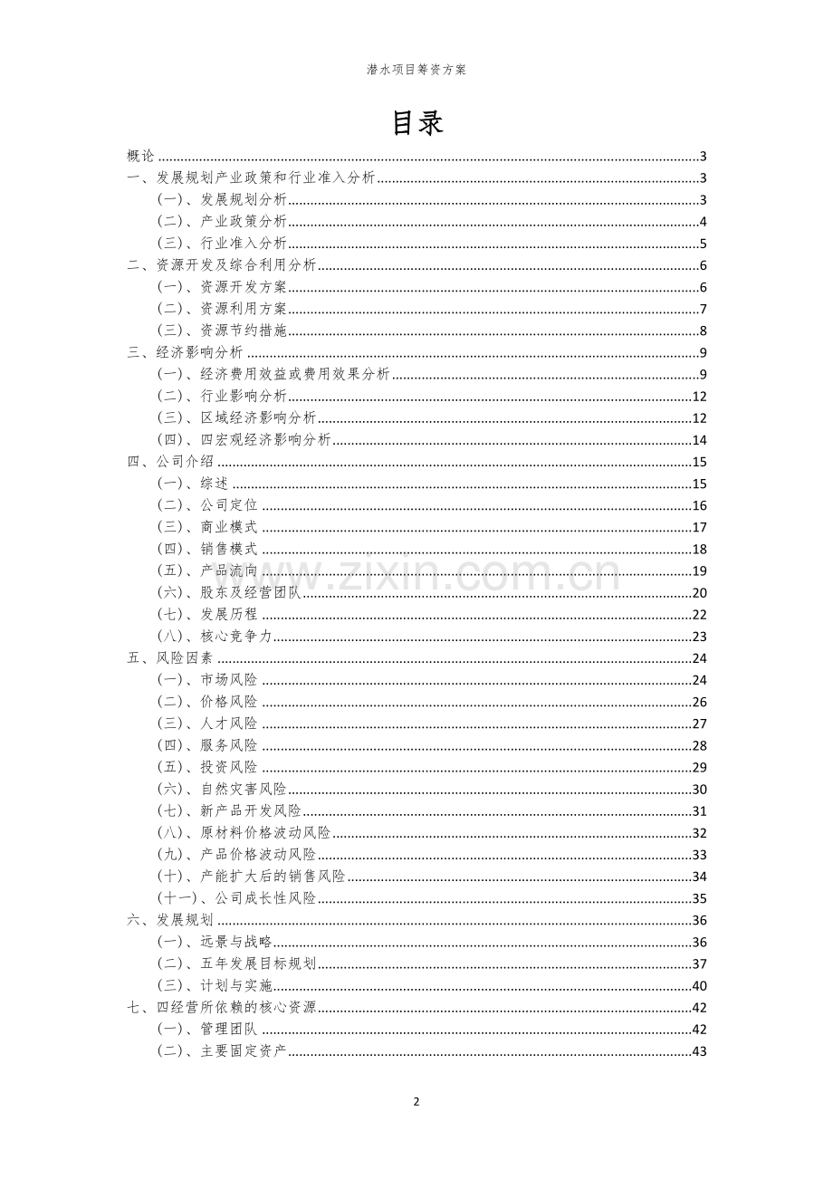 潜水项目筹资方案.docx_第2页