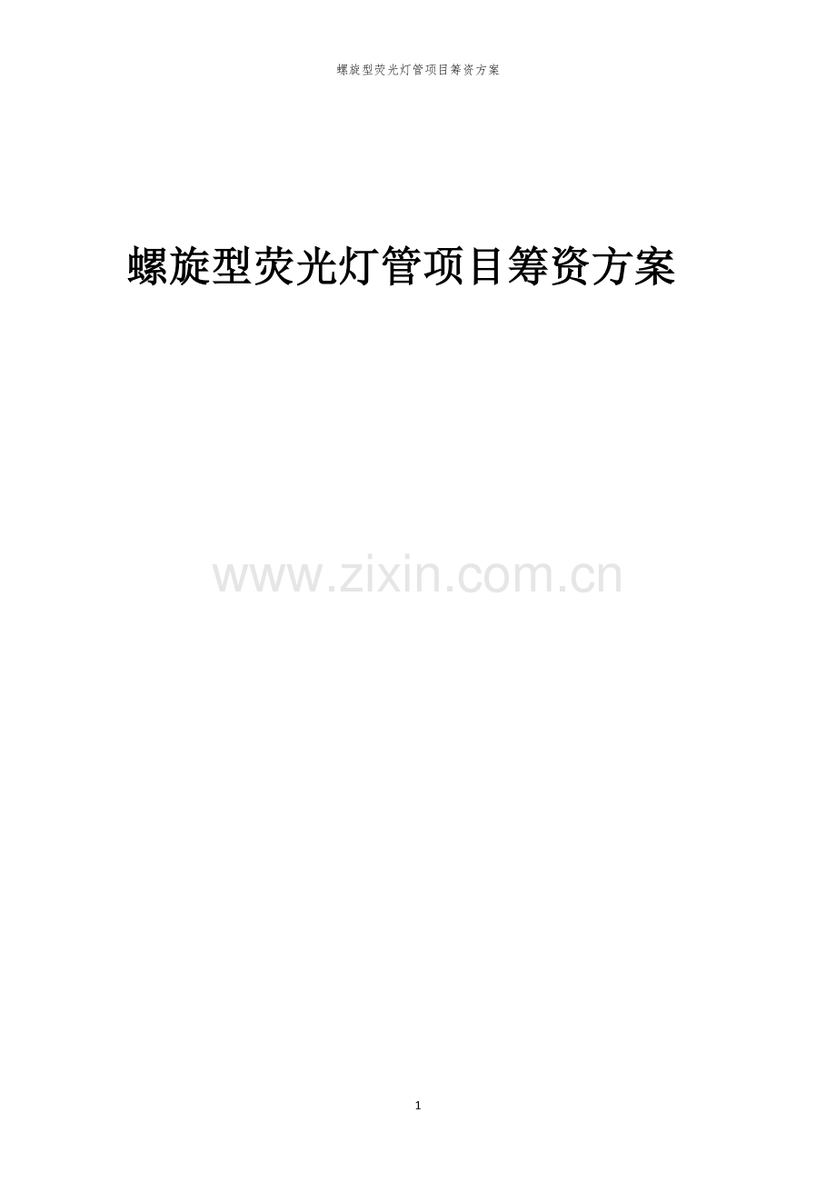 螺旋型荧光灯管项目筹资方案.docx_第1页