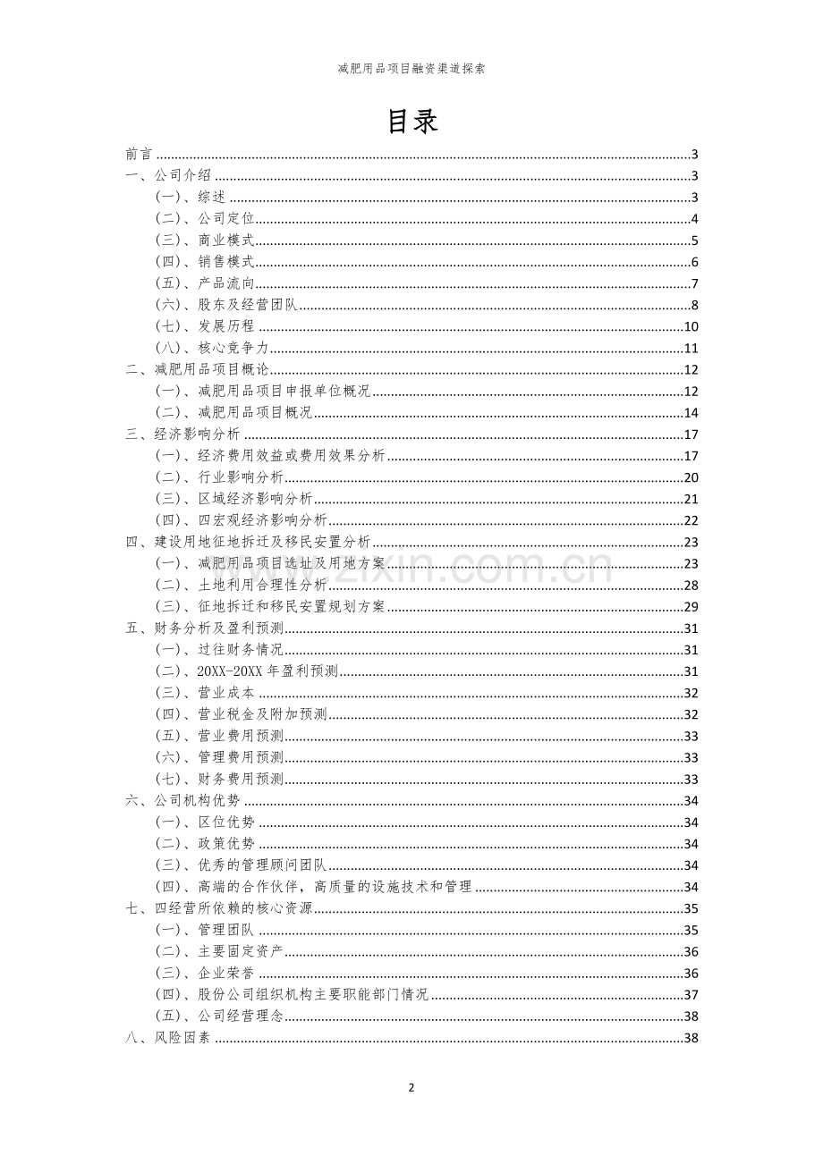 减肥用品项目融资渠道探索.docx_第2页