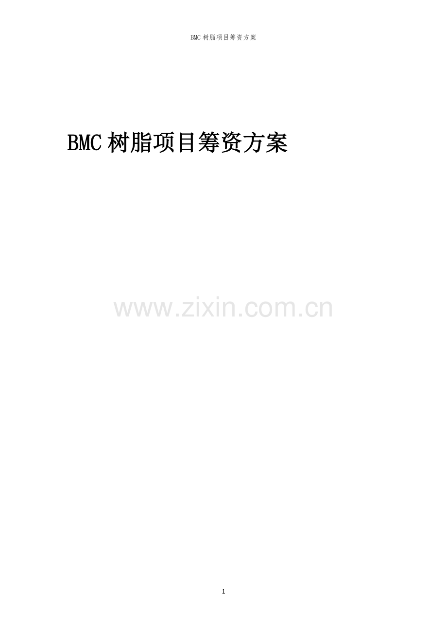 BMC树脂项目筹资方案.docx_第1页