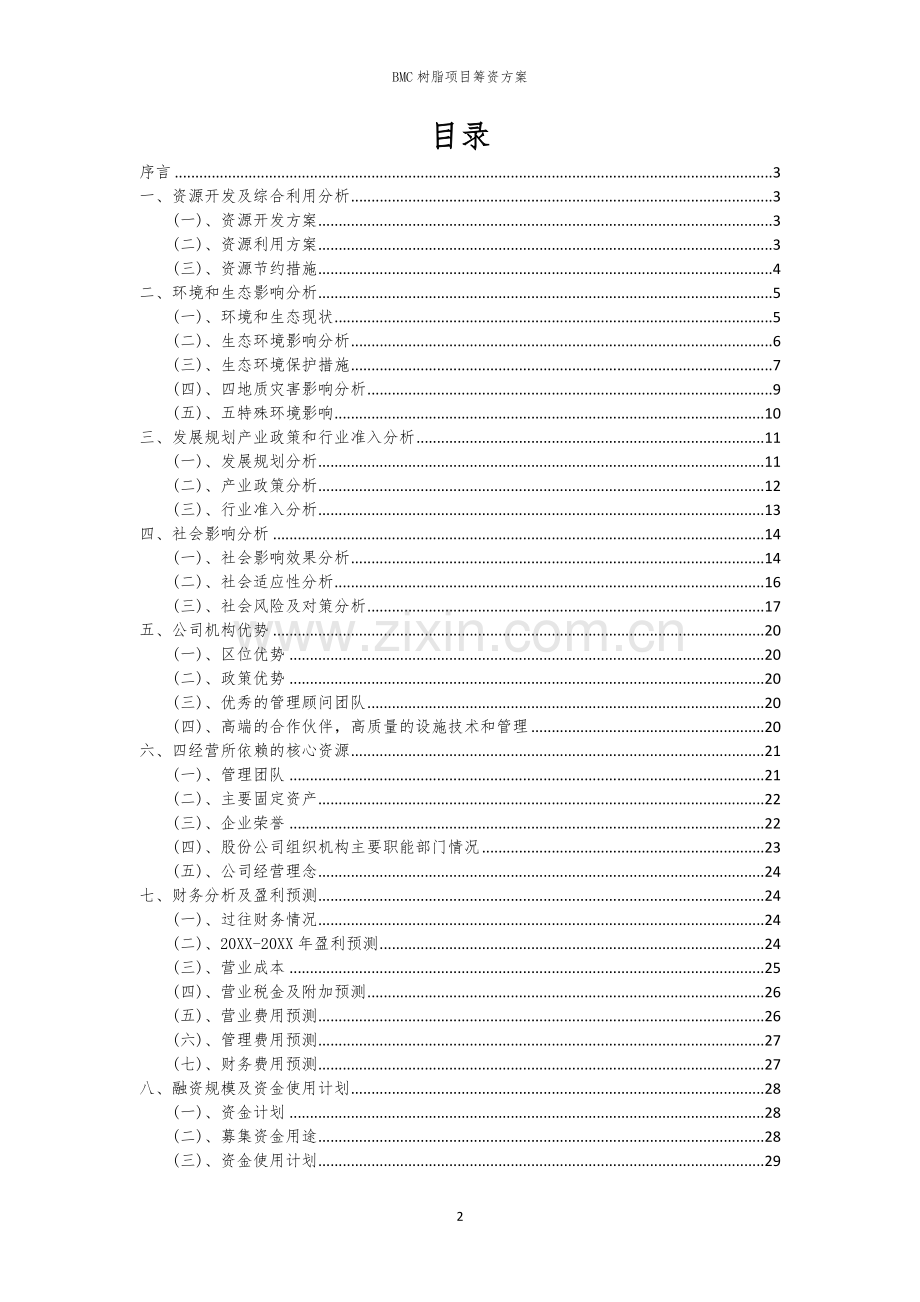 BMC树脂项目筹资方案.docx_第2页