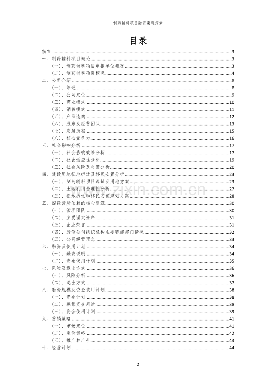 制药辅料项目融资渠道探索.docx_第2页